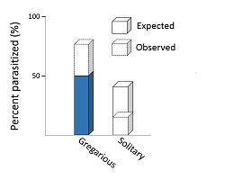 Chi-squared image