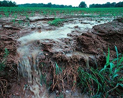 Stream runoff