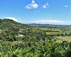 Farmland in Puerto Rico